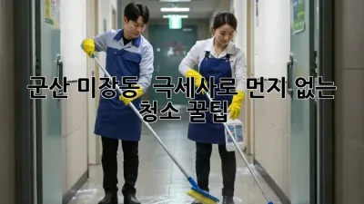 군산 미장동 ✨ 극세사로 먼지 없는 청소 꿀팁 🍯